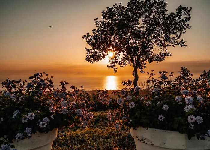 Casetta Nonna Lina - Charming House With Amazing Seaview And Private Pool Ricadi