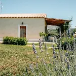 بيت للعطل Casetta Nonna Lina - Charming House With Amazing Seaview And Private Pool *