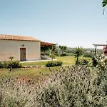 Casetta Nonna Lina - Charming House With Amazing Seaview And Private Pool *