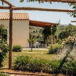 Casetta Nonna Lina - Charming House With Amazing Seaview And Private Pool ريكادي