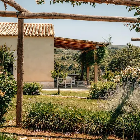 Casetta Nonna Lina - Charming House With Amazing Seaview And Private Pool ריקאדי