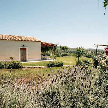 Casetta Nonna Lina - Charming House With Amazing Seaview And Private Pool *